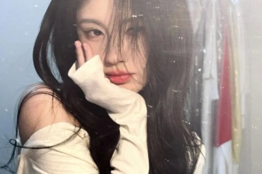 明码标价的婚姻：泽尻英龙华自毁前程之路